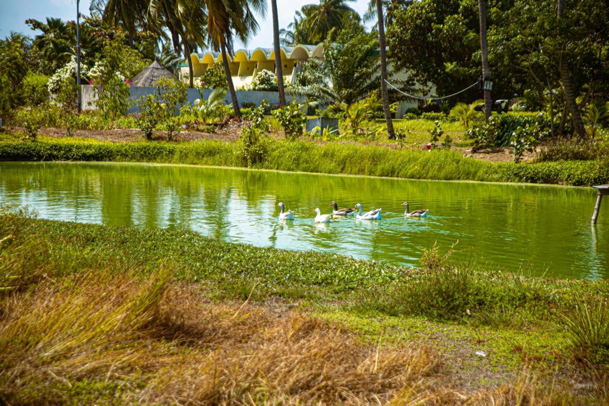 Hotel Sarakawa Lomé Esterno foto